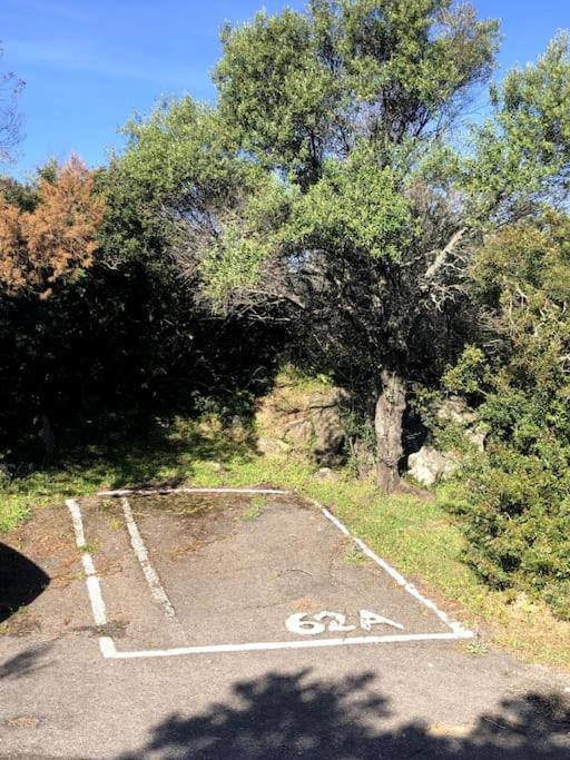 Il Nido Di Luca A Porto Rotondo Lejlighed Eksteriør billede
